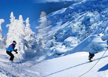manali-tour-packages-630x630-630x4905.jpg